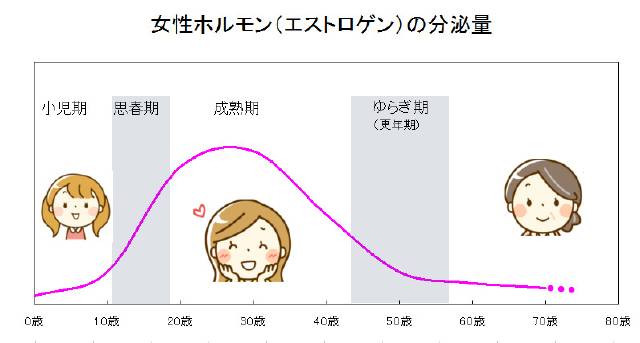 女性ホルモン(エストロゲン)の分泌量